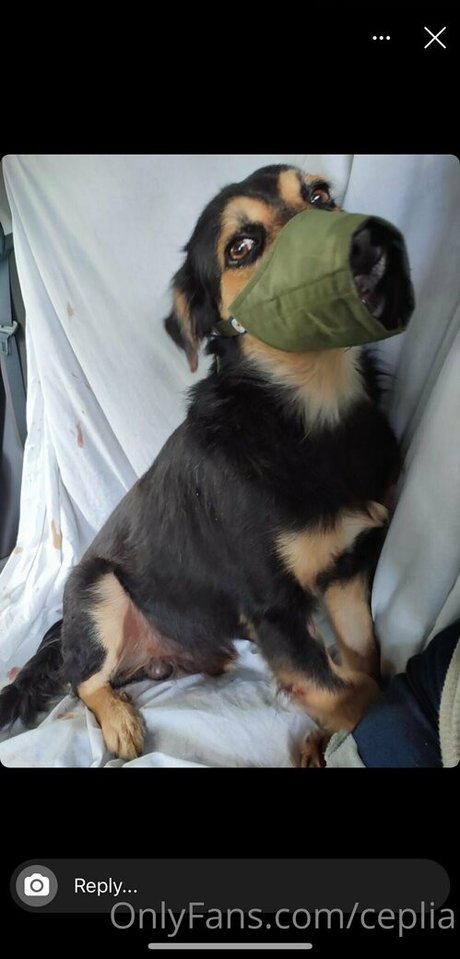 ceplia only fans pic