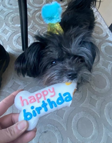 deltadawnlux onlyfans images