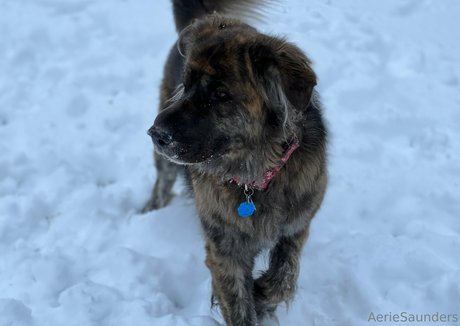 aeriesaunders onlyfans naked