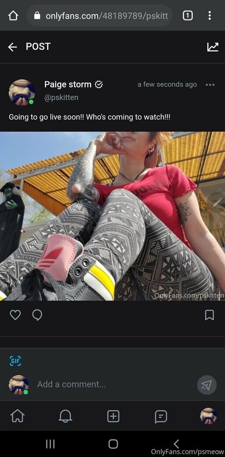 psmeow onlyfans leaks porn