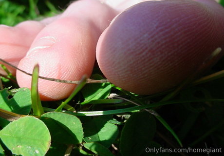 homegiant onlyfans mega