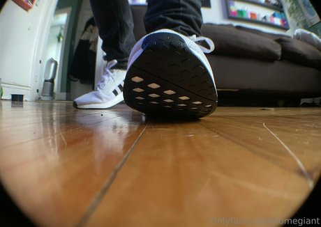 homegiant onlyfans topless