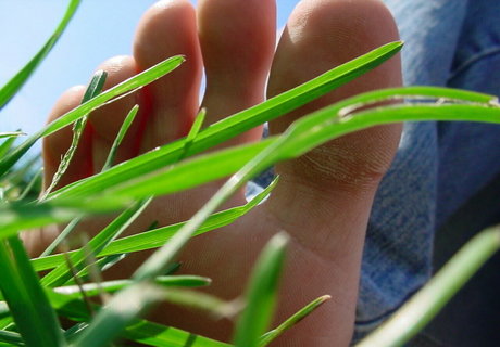 homegiant only fans leak porn