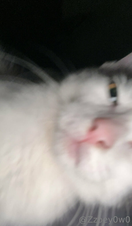 cyb3rb0t nude porn onlyfans