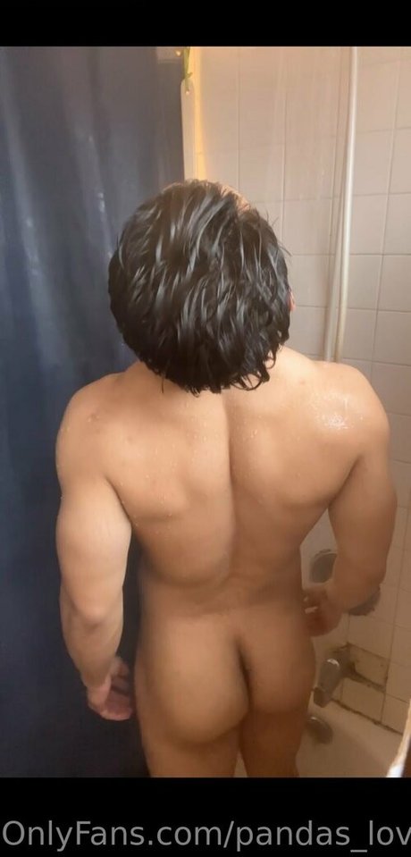 pandas lover ass onlyfans