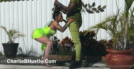 bigmingo onlyfans leajs