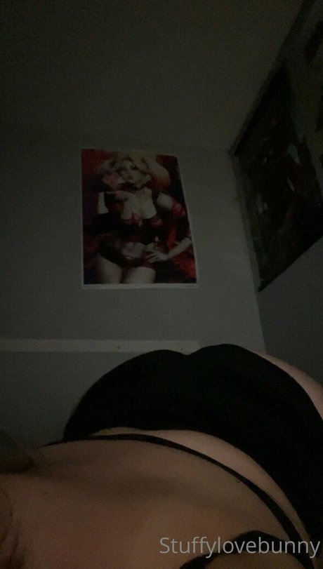 StuffyLoveBunny onlyfans leak porn