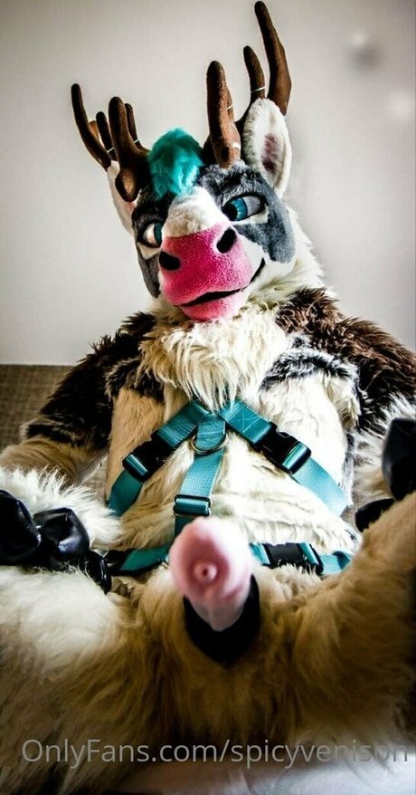 spicyvenison tits onlyfans