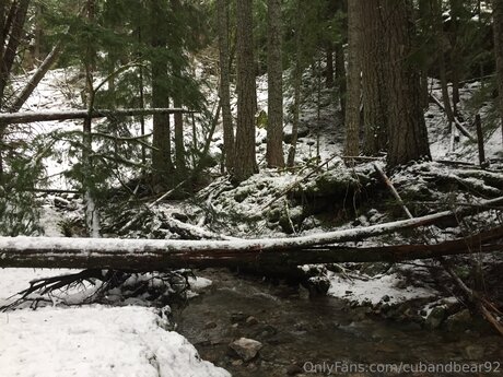 cubandbear92 only fans content