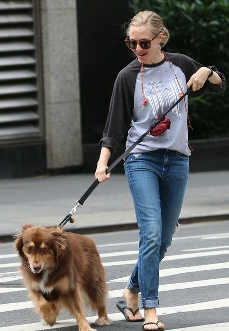 Amanda Seyfried nude onlyfans leaks