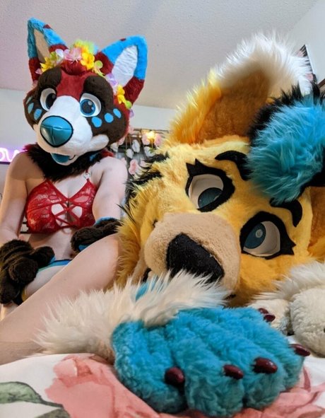 voan zonead onlyfans leaks porn