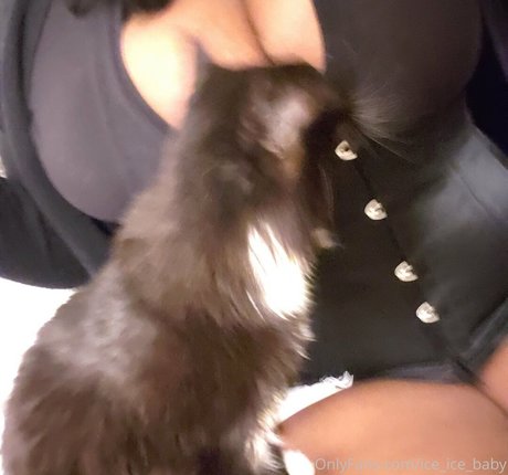 ice ice baby onlyfans joi