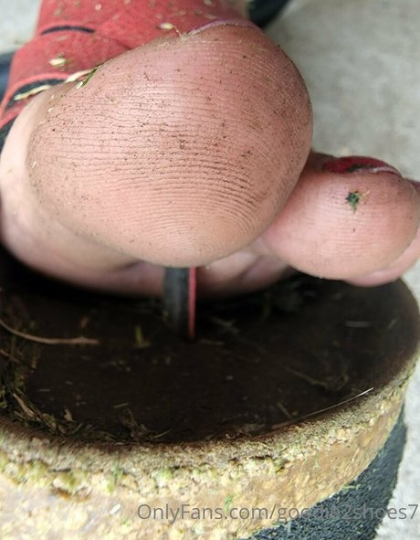 goodie2shoes7 porn onlyfans