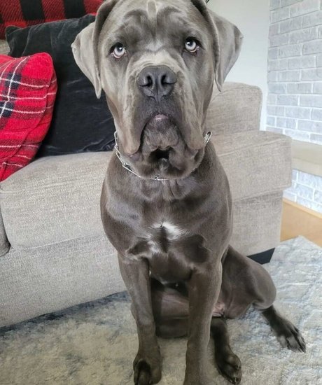 Miss Jee Yung nudes only fans