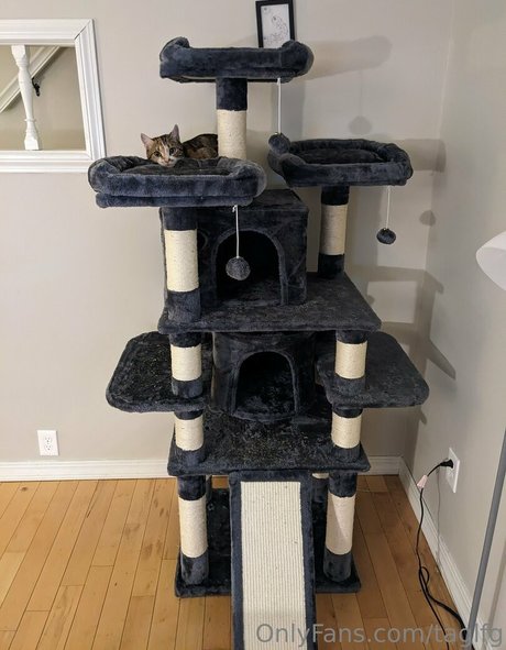 taglfg onlyfans leak ass