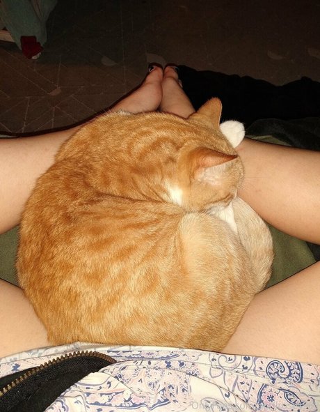 aprilrose1992 onlyfans free content