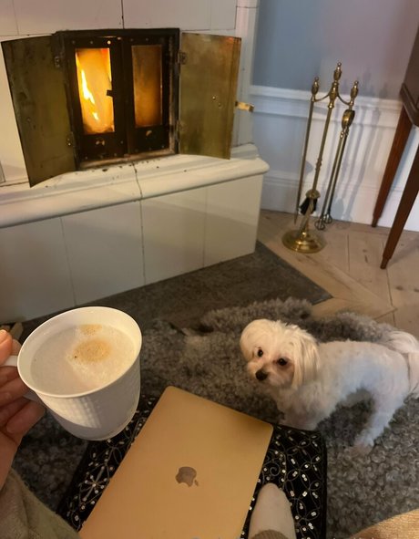 wilda se onlyfans gratis