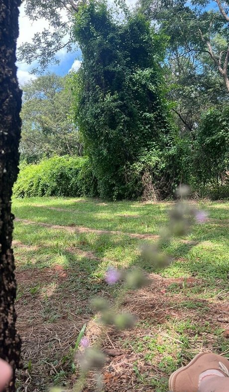 fleivinha naked on onlyfans