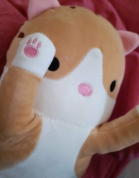 mysecretfairy onlyfans nsfw