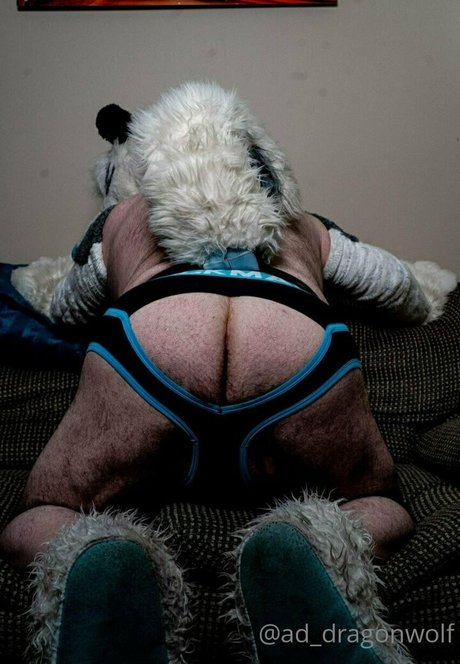 ad dragonwolf onlyfans porn