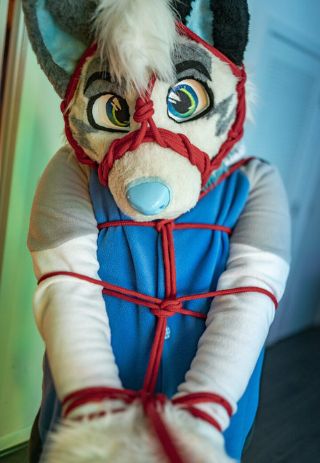 ad dragonwolf onlyfans pics leaked