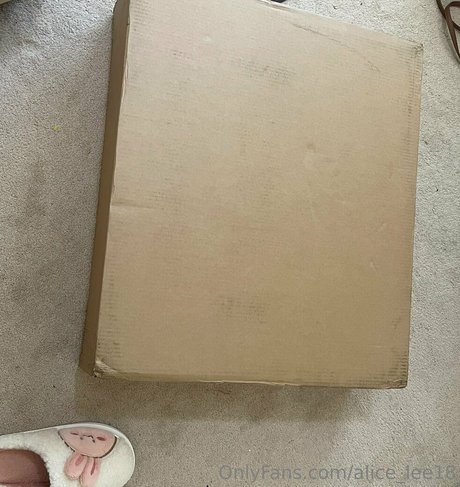 alice lee18 onlyfans nudes