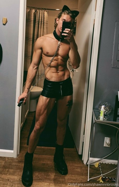 shawnnnbrooks leaked onlyfans nude