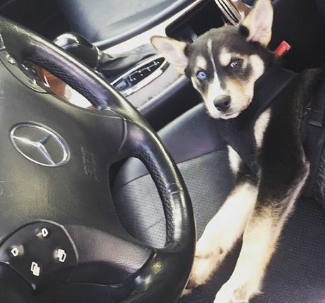 Kimi McFarland onlyfans boobs