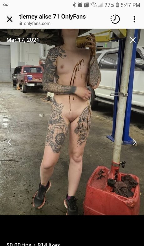 Barrel racer71 Profile pic