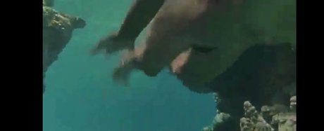 Phoebe Cates onlyfans leakd