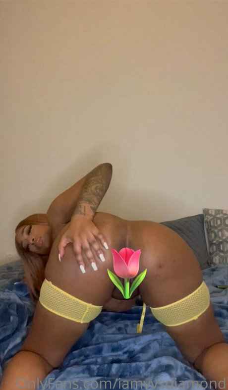iamvvsdiamond onlyfans nudes leaks