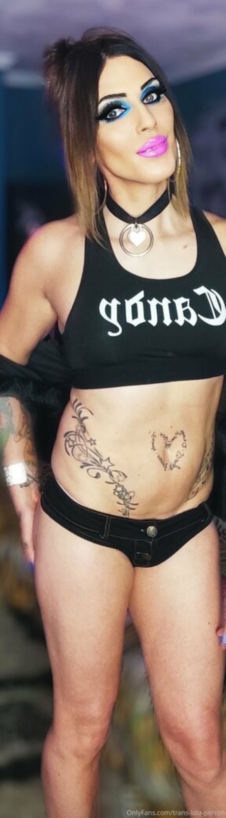 trans lola perron boobs onlyfans