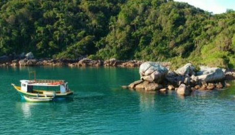 biabrasil onlyfans sex