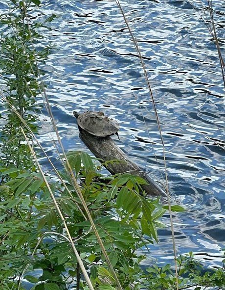 akiraalita onlyfans leak xxx