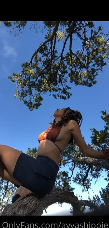 ayvashippie nude onlyfans leaked