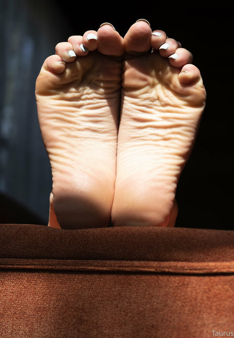 tastytaurustoes only fans leaks