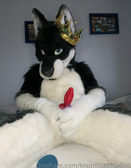 knotnloadstudios onlyfans photo