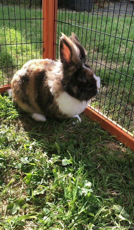 lothianjamie topless onlyfans