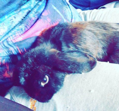 lothianjamie onlyfans content leaked