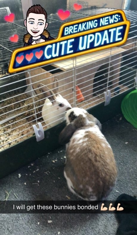 lothianjamie porn onlyfans leak