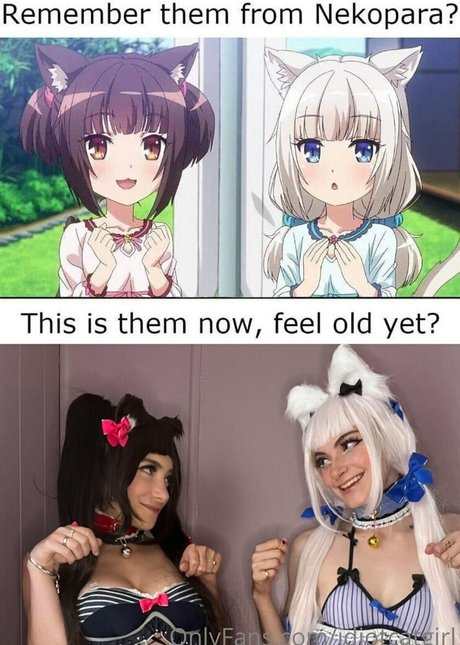 idiotcatgirl onlyfans exposed