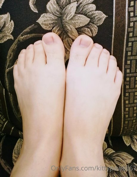 kittypaws667 onlyfans leak free