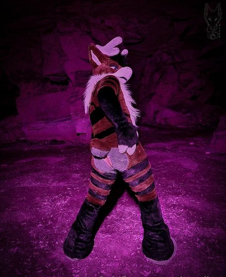 pitourikou onlyfans free content