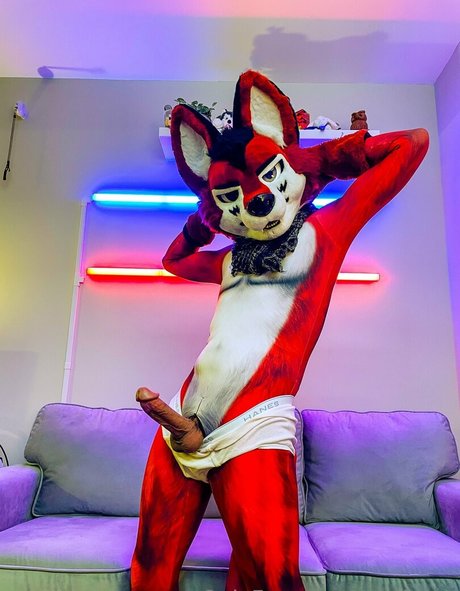 wolf ezo onlyfans lesk