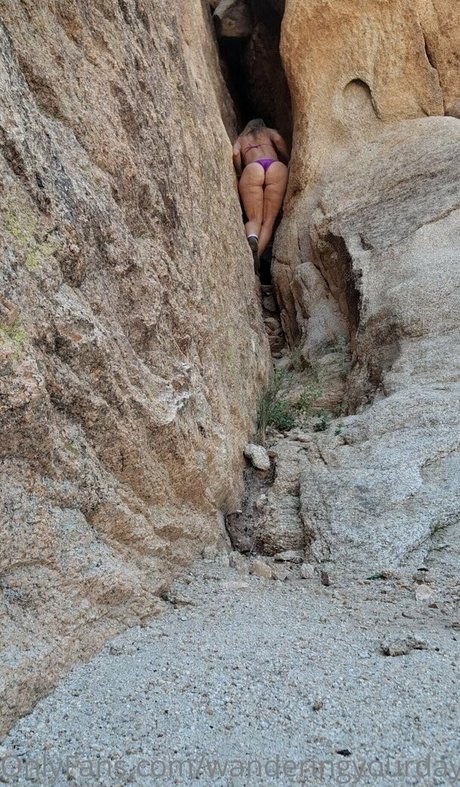 wanderingyourdaydreams only fans free