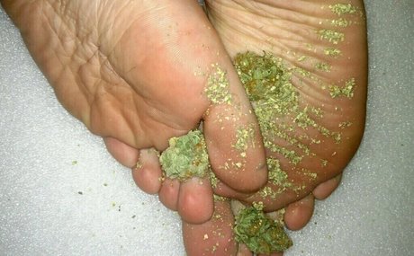 lelannifeets onlyfans nudes leaked