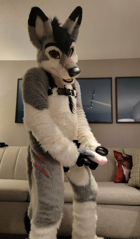 stallionwolf only fans nudes