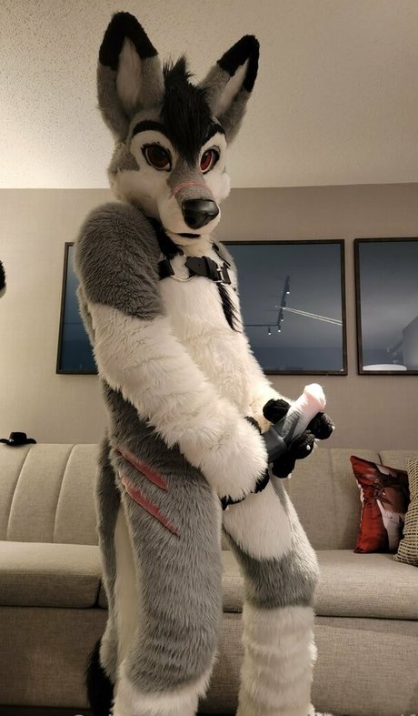 stallionwolf onlyfans leaked