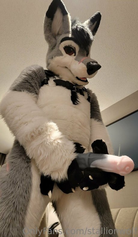 stallionwolf leaked onlyfans xxx