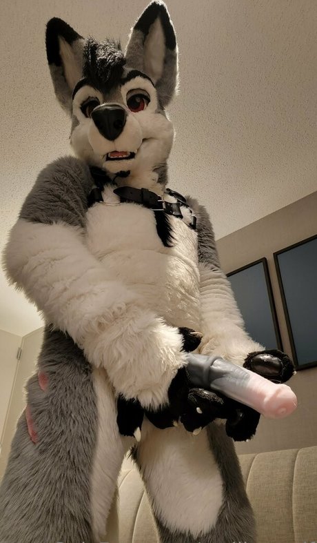 stallionwolf onlyfans